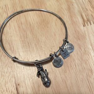 Alex & Ani Bracelet